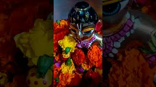 Phoolon mein saj rahe hai Shri Vrindavan Bihari music love bhaktisong [upl. by Dihahs841]