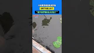 小夥用耳機當魚線釣魚，沒兩下魚就上鈎了。“新手保護期真是太厲害了”新手保護期 [upl. by Nairbo782]