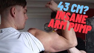 43 CM ARMS I MEASURED MY ARMS  CRAZY ARM WORKOUT [upl. by Wylen]