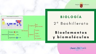 BIOELEMENTOS Y BIOMOLÉCULAS [upl. by Hcelemile]