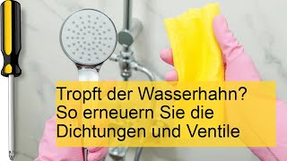 Wasserhahn tropft Dichtungen und Ventile erneuern [upl. by Nylynnej513]