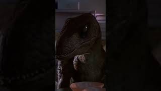 What made the Jurassic Park Raptor Sound [upl. by Kerwon]