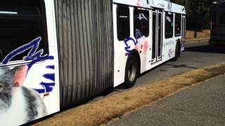 Translink 2009 New Flyer DE60LFR B8125 Take Off  WiFi Bus [upl. by Masera]