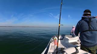 new York Raritan bay fishing footage 2024 part B [upl. by Arel806]