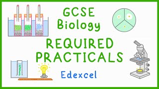 All BIOLOGY Required Practicals  GCSE Science Edexcel [upl. by Bomke]