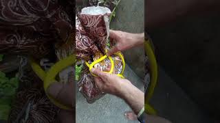 Really pratical tips and tricks How to securely fasten a rope to plastic sack short [upl. by Carolina]