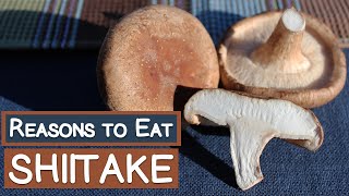 2 Big Reasons to Eat Shiitake Mushrooms  Vitamin D Source [upl. by Helaine265]