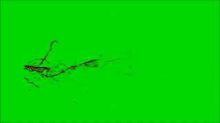 Blood Splatter Green Screen 15 [upl. by Nivlag]