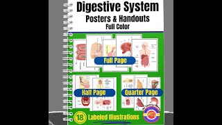 Digestive System Posters and Handouts Preview Video [upl. by Corbet425]