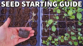 The Ultimate Beginners Guide To STARTING SEEDS Indoors [upl. by Sivrad]