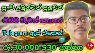 සම්පුර්ණයෙන් නොමිලේ රු30000  How To Earn Money Sinhala  Online Money Earn Platform  New Airdrop [upl. by Eiramllij]