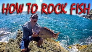 HOW TO STRAY LINE ROCK FISHING FOR SNAPPER KAHAWAI amp TREVALLY IN NZ [upl. by Thevenot515]