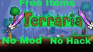 Terraria free items server [upl. by Nevear]