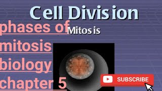 cell divisionmitosisstagessomatic and germ line cellmitosis kesy hotiThe vibes [upl. by Gaddi264]