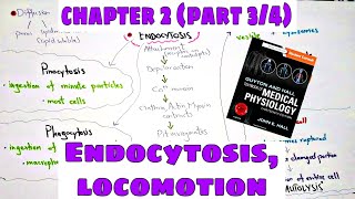 Phagocytosis Pinocytosis Chapter 2 part34 Ameboid movement Ciliary movement  Guyton and Hall [upl. by Lesiram]