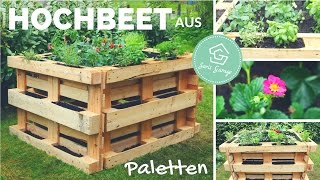 Hochbeet aus Europaletten selber bauen  Bauanleitung  Beet aus Paletten  Palettenmöbel  DIY [upl. by Esineg873]