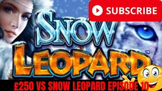 💥 £250 VS SNOW LEOPARD EPISODE 10 BIG WIN OR BIG LOSS 💥 [upl. by Nnasor387]