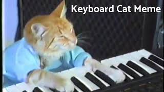 keyboard cat meme [upl. by Xenophon]