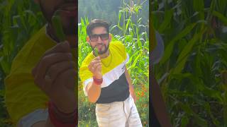 Blood Report 🩸Sartaj Virk New Punjabi Song Dance youvivlogs punjabisong punjabi newsong shorts [upl. by Enttirb683]