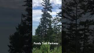 Fundy Trail Provincial Park  Parks  NB Parks  Fundy Trail Parkway  Fundy  shorts fundy [upl. by Yerak]