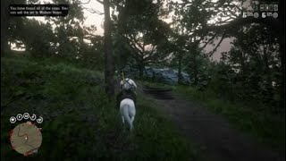 Where to find a creek plum on Red Dead Redemption 2 online [upl. by Robinette]