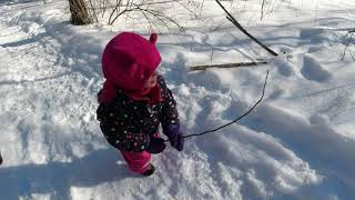 Balsam Lake Provincial Park Winter Hike [upl. by Jamal954]