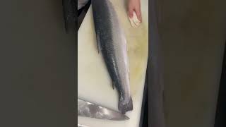 How To Fillet A Whole Salmon fish salmon filleting shorts [upl. by Ybrad376]