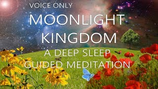 Moonlight Kingdom A Guided Meditation Sleep Story  VOICE ONLY [upl. by Atazroglam774]