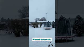 Nevasca ❄️🌨️ snowday snow nevasca neve dailyvlog shorts familianoseua brasileirospelomundo [upl. by Fletch]