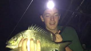 Night Fishing for BIG Bream  Catch and Cook Feast on the BBQ [upl. by Violet]