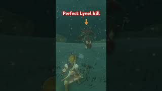 Perfect Lynel kill [upl. by Ashely26]