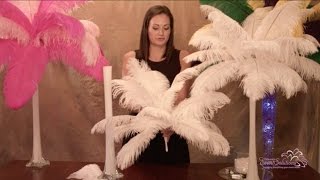 Ostrich Feather Centerpieces  How To DIY [upl. by Gudrin]