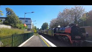 CTV Vlog 6 trains at bowral featuring steam locomotive R766 [upl. by Eldwon]