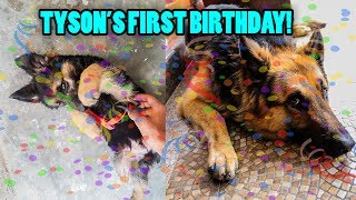 TYSONS FIRST BIRTHDAY  MOTOVLOG  VLOG  NEPAL [upl. by Eglantine141]