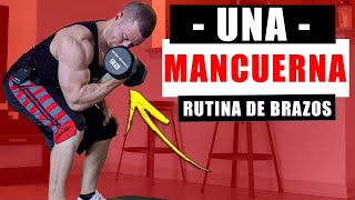 Rutina de Brazos con Una Mancuerna RUTINAS CON UNA MANCUERNA  Rutina de Biceps y Triceps en Casa [upl. by Aniri]