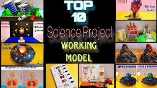 Top 10 Working model for School Science Project  Top 10 Science Projects for School Exhibition [upl. by Litch]