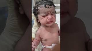 Newborn Baby Crying newborn babyshorts babycare babyvideos cutebaby baby [upl. by Mehalek]