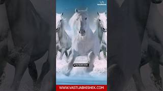 Vastu Tips for Horse Painting Vastu vastutips manifestation painting horse [upl. by Bannon]