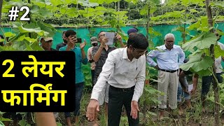 2 Two Layering farming बरसात में खेती करने के लिए बेस्ट मॉडल।Multilayer farming Akash Chourasiya [upl. by Krishna]