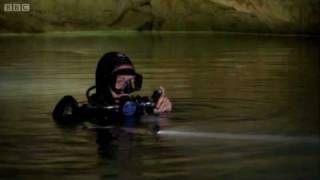 Cave diving reveals secret world  Earth  The Power of the Planet  BBC [upl. by Olimac]