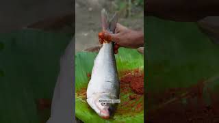 Fish Fry in Clay  Ancient Cooking shorts fishfry fishcutting fishfrycurry kitchwithpradip [upl. by Merc]