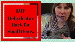 DIY Dehydrator HACK for small items [upl. by Melosa428]