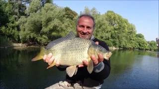 Pesca con la bolognese sul fiume [upl. by Atneuqal95]