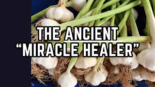 GARLIC Medicinal uses Benefits amp Precautions  more  Earths Medicine [upl. by Assin]