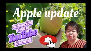 Farm Apple Update [upl. by Nevear]