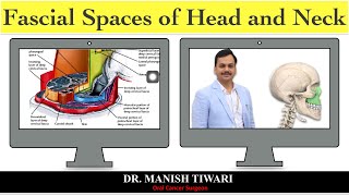 Odontogenic space infection part2  fascial spaces of head and neck [upl. by Rivalee255]