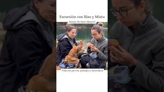 Excursión con Blau y Mistu 🐕🐕‍🦺  Vida con perros naturaleza y paisajes ⛰️ Sonidos naturales 🍃 [upl. by Netsua]