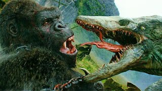 King Kong vs Skullcrawler Final Fight Scene Kong Skull Island 2017 Movie Clip HD [upl. by Llerrad]