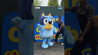 Floss like Bluey behind the scenes with CBeebies  CBeebies shorts [upl. by Aldo162]