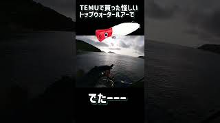 【ソルトウォーター】TEMUで買った怪しいトップウォータールアーで出た TEMU＃テム＃トップウォーター＃フィッシング＃ビッグポッパー [upl. by Haldes]